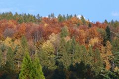 IMG_8338