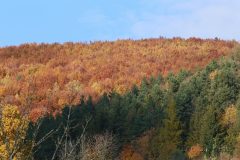 IMG_8349