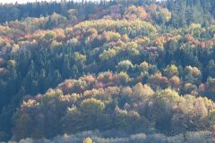IMG_8378