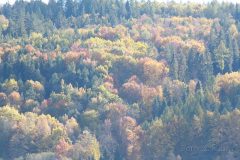 IMG_8379