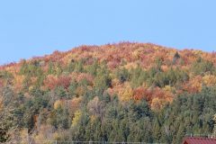 IMG_8502