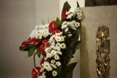 MG_4714 MG_4714