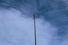 IMG_2445