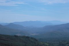 IMG_2450