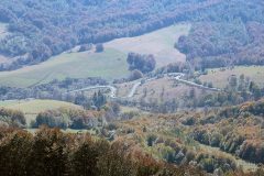 IMG_2488