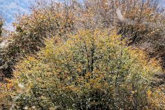 IMG_2516