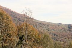 IMG_2557