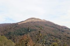 IMG_2558