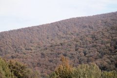 IMG_2562