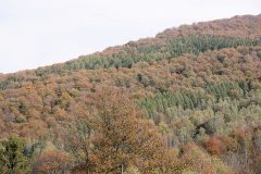 IMG_2573