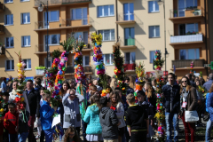 IMG_6670