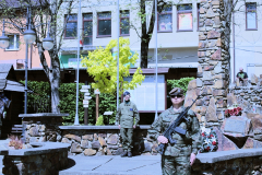MG_4900 MG_4900