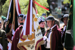 MG_4909 MG_4909