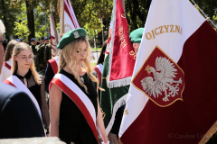 MG_5137 MG_5137