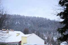 MG_4393