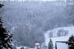 MG_4417